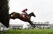 25 November 2023; Favori De Champdou, with Jack Kennedy up, jump the last on their way to winning the Liam & Valerie Brennan Florida Pearl Novice Steeplechase on day one of the Punchestown Winter Festival at Punchestown Racecourse in Kildare. Photo by Matt Browne/Sportsfile