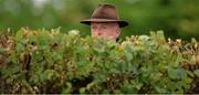 7 September 2013; Trainer Willie Mullins watches the  KPMG Enterprise Stakes. Leopardstown Racecourse, Leopardstown, Co. Dublin. Picture credit: Barry Cregg / SPORTSFILE