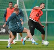 8 September 2013; Republic of Ireland's Marc Wilson, right, and James McCarthy  during squad training ahead of their 2014 FIFA World Cup Qualifier Group C game against Austria on Tuesday. Republic of Ireland Squad Training, Gannon Park, Malahide, Co. Dublin. Picture credit: David Maher / SPORTSFILE
