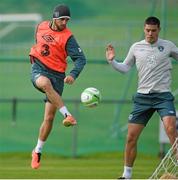 8 September 2013; Republic of Ireland's Shane Long, left, and Darren O'Dea during squad training ahead of their 2014 FIFA World Cup Qualifier Group C game against Austria on Tuesday. Republic of Ireland Squad Training, Gannon Park, Malahide, Co. Dublin. Picture credit: David Maher / SPORTSFILE