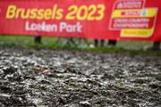 10 December 2023; A general view of the course before the SPAR European Cross Country Championships at Laeken Park in Brussels, Belgium. Photo by Sam Barnes/Sportsfile