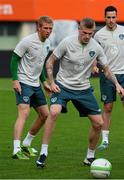 9 September 2013; Republic of Ireland's Paul Green, left, and James McClean during squad training ahead of their 2014 FIFA World Cup Qualifier Group C game against Austria on Tuesday. Republic of Ireland Squad Training, Ernst Happel Stadion, Vienna, Austria. Picture credit: David Maher / SPORTSFILE