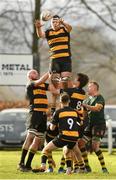 4 February 2024; John Lyons of County Carlow wins possession in a lineout during the Bank of Ireland Provincial Towns Cup First Round match between County Carlow and Boyne at County Carlow RFC in Carlow. Photo by Matt Browne/Sportsfile