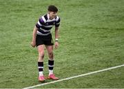 27 February 2024; Tommy Smyth of Terenure College during the Bank of Ireland Leinster Schools Junior Cup quarter-final match between Terenure College and Temple Carrig School at Energia Park in Dublin. Photo by Piaras Ó Mídheach/Sportsfile