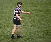 27 February 2024; Jack Walsh of Terenure College during the Bank of Ireland Leinster Schools Junior Cup quarter-final match between Terenure College and Temple Carrig School at Energia Park in Dublin. Photo by Piaras Ó Mídheach/Sportsfile