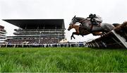 12 March 2024; Irish Point, with Jack Kennedy up, jump the last, on their way to finishing second in the Unibet Champion Hurdle Challenge Trophy on day one of the Cheltenham Racing Festival at Prestbury Park in Cheltenham, England. Photo by Harry Murphy/Sportsfile