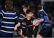 29 March 2024; Action between Malahide and Wexford Wanderers during the Bank of Ireland Half-Time Minis at the United Rugby Championship match between Leinster and Vodacom Bulls at the RDS Arena in Dublin. Photo by Harry Murphy/Sportsfile