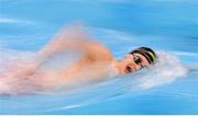 24 May 2024; Cormac Rynn of NCL on his way to winning the Men's 100m freestyle super final during day three of the Ireland Olympic Swimming Trials at the National Aquatic Centre on the Sport Ireland Campus in Dublin. Photo by David Fitzgerald/Sportsfile