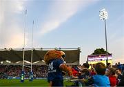 31 May 2024; Leo the Lion during the United Rugby Championship match between Leinster and Connacht at the RDS Arena in Dublin. Photo by Harry Murphy/Sportsfile