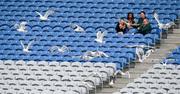 2 June 2024; A flock of gulls decend on the Hogan Stand as tourists Eve Vinker, Marissa Mereih, Mryann Hermen and Chloe Calabro, all from Pennsylvania, USA, as the watch during the Nickey Rackard Cup final match between Donegal and Mayo at Croke Park in Dublin. Photo by Ray McManus/Sportsfile