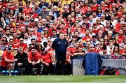 21 July 2024; Cork manager Pat Ryan during the GAA Hurling All-Ireland Senior Championship Final between Clare and Cork at Croke Park in Dublin. Photo by Piaras Ó Mídheach/Sportsfile