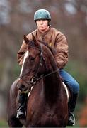 27 November 1998; Boxer Steve Collins with his horse 'Jack' in Pheonix Park, Dublin. Photo by David Maher/Sportsfile