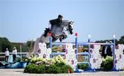 5 August 2024; Shane Sweetnam of Team Ireland, on James Kann Cruz, in action during the Jumping Individual Qualifier at the Château de Versailles during the 2024 Paris Summer Olympic Games in Paris, France. Photo by Stephen McCarthy/Sportsfile