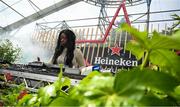 16 August 2024; Alice Ugbah pictured onstage at Heineken® House at Electric Picnic in Stradbally, Laois. Making its Irish debut after huge success at global festivals, Heineken® House puts festival goers front and centre with elevated areas, immersive dj experience and raised dance platforms. Production will elevate this unique build, with stunning visual and lighting design to create a spectacle that is a must see this Electric Picnic. Heineken® continues to champion Irish talent with a full lineup of local talent across the three days. Photo by Ramsey Cardy/Sportsfile