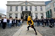 23 August 2024; Georgia Tech mascot Buzz performs at Mansion House in Dublin ahead of the 2024 Aer Lingus College Football Classic match between Florida State and Georgia Tech this Saturday at the Aviva Stadium. Photo by Brendan Moran/Sportsfile