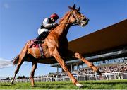 15 September 2024; Kyprios, with Ryan Moore up, on their way to winning the Comer Group International Irish St Leger during day two of the Irish Champions Festival at The Curragh Racecourse in Kildare. Photo by Seb Daly/Sportsfile