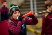 13 October 2024; Young Portarlington supporter Alex Kelly, aged 11, before the Laois County Senior Club Football Championship final match between Portlaoise and Portarlington at Laois Hire O'Moore Park in Portlaoise, Laois. Photo by Tom Beary/Sportsfile