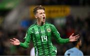 15 October 2024; Isaac Price of Northern Ireland celebrates after scoring his side's first goal during the UEFA Nations League C match between Northern Ireland and Bulgaria at National Stadium at Windsor Park in Belfast. Photo by Ramsey Cardy/Sportsfile