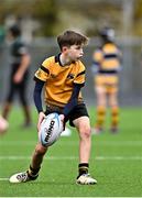 26 October 2024; Action from the Bank of Ireland Minis match between Ashbourne RFC and Wicklow RFC during the United Rugby Championship match between Leinster and Emirates Lions at the Aviva Stadium in Dublin. Photo by Sam Barnes/Sportsfile