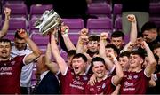 3 November 2024; St Martin's captain Conor Firman lifts the The Dr Bob Bowe Cup after his side's victory in the Wexford County Senior Club Hurling Championship Final match between St Martin's and St Anne's at Chadwicks Wexford Park in Wexford. Photo by Piaras Ó Mídheach/Sportsfile