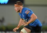 27 September 2013; Dominic Ryan, Leinster. Celtic League 2013/14, Round 4, Leinster v Cardiff Blues, RDS, Ballsbridge, Dublin. Picture credit: Brendan Moran / SPORTSFILE