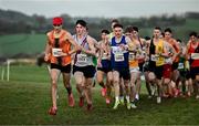 1 December 2024; Daniel Ryan Ellis of Nenagh Olympic AC, Tipperary, left, leads the field in the novice men's 6000m during the 123.ie National Novice and Juvenile Uneven Age Cross Country Championships at Tramore Racecourse in Tramore, Waterford. Photo by Sam Barnes/Sportsfile