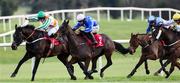 10 December 2024; Sammy Smart, with Darragh O’Keeffe up, right, trails Brave Adamon, with Tom Kelly up, who finished fifth, on their way to winning  the See You On New Years Eve Handicap Hurdle at Punchestown Racecourse in Kildare. Photo by Thomas Doolin/Sportsfile