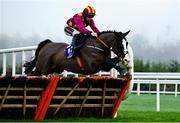 26 December 2024; Workahead, with Mike O'Connor up, jumps the last on the way to winning The Thorntons Recycling Maiden Hurdle race on day one of the Leopardstown Christmas Festival at Leopardstown Racecourse in Dublin. Photo by Shauna Clinton/Sportsfile