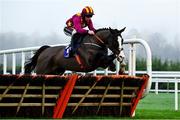 26 December 2024; Workahead, with Mike O'Connor up, jumps the last on the way to winning The Thorntons Recycling Maiden Hurdle race on day one of the Leopardstown Christmas Festival at Leopardstown Racecourse in Dublin. Photo by Shauna Clinton/Sportsfile