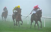 26 December 2024; Hello Neighbour, with Keith Donoghue up, right, on the way to winning The O`Driscolls Irish Whiskey Juvenile Hurdle race on day one of the Leopardstown Christmas Festival at Leopardstown Racecourse in Dublin. Photo by Shauna Clinton/Sportsfile