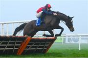 26 December 2024; Shraheen, with Niall Moore up, jumps the last hurdle on the way to winning The Dornan Careers Novice Handicap Hurdle race on day one of the Leopardstown Christmas Festival at Leopardstown Racecourse in Dublin. Photo by Shauna Clinton/Sportsfile