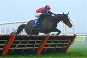 26 December 2024; Shraheen, with Niall Moore up, jumps the last hurdle on the way to winning The Dornan Careers Novice Handicap Hurdle race on day one of the Leopardstown Christmas Festival at Leopardstown Racecourse in Dublin. Photo by Shauna Clinton/Sportsfile