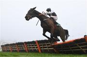 27 December 2024; Romeo Coolio, with Sam Ewing up, jumps the last on their way to winning the Paddy Power Future Champions Novice Hdle (Grade 1) 4-y-o plus on day two of the Leopardstown Christmas Festival at Leopardstown Racecourse in Dublin. Photo by David Fitzgerald/Sportsfile