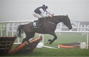 27 December 2024; Romeo Coolio, with Sam Ewing up, jumps the last on their way to winning the Paddy Power Future Champions Novice Hdle (Grade 1) 4-y-o plus on day two of the Leopardstown Christmas Festival at Leopardstown Racecourse in Dublin. Photo by David Fitzgerald/Sportsfile