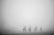 27 December 2024; (EDITOR'S NOTE; Image has been converted to black & white) Romeo Coolio, with Sam Ewing up, right, leads the field amidst heavy fog in the Paddy Power Future Champions Novice Hdle (Grade 1) 4-y-o plus on day two of the Leopardstown Christmas Festival at Leopardstown Racecourse in Dublin. Photo by David Fitzgerald/Sportsfile