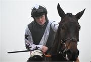 27 December 2024; Jockey Sam Ewing celebrates with Romeo Coolio after winning the Paddy Power Future Champions Novice Hdle (Grade 1) 4-y-o plus on day two of the Leopardstown Christmas Festival at Leopardstown Racecourse in Dublin. Photo by David Fitzgerald/Sportsfile