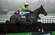 27 December 2024; Midnight Our Fred, with Alex Harvey up, jumps the last on their way to finishing second in the Paddy Power Steeple chase 5-y-o plus on day two of the Leopardstown Christmas Festival at Leopardstown Racecourse in Dublin. Photo by David Fitzgerald/Sportsfile