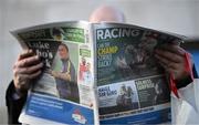 28 December 2024; A racegoer reads the racing post on day three of the Leopardstown Christmas Festival at Leopardstown Racecourse in Dublin. Photo by David Fitzgerald/Sportsfile