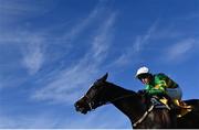 28 December 2024; Kaid D'authie, with Mark Walsh up, crosses the line to win the Savills Maiden Hurdle on day three of the Leopardstown Christmas Festival at Leopardstown Racecourse in Dublin. Photo by David Fitzgerald/Sportsfile