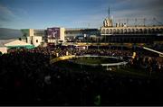 28 December 2024; The crowd looks on as Galopin Des Champs is paraded in the parade ring before running the Savills Steeplechase (Grade 1) 5-y-o plus on day three of the Leopardstown Christmas Festival at Leopardstown Racecourse in Dublin. Photo by David Fitzgerald/Sportsfile