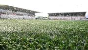 4 January 2025; A general view of conditions before the Celtic Challenge match between Clovers and Gwalia Lightning at Kingspan Stadium in Belfast. Photo by Ramsey Cardy/Sportsfile