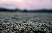 8 January 2025; A view of the pitch conditions after the postponement of the Electric Ireland Higher Education GAA Sigerson Cup Round 1 match between St Mary's University College and Queens University at Michael Davitts GAC in Belfast. Photo by Ben McShane/Sportsfile