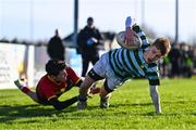 29 January 2025; Matthew Nolan of St Gerard's School dives over to score his side's first try despite the efforts of Fionn Dutton of Temple Carrig School during the Bank of Ireland Leinster Rugby Boys Schools Fr Godfrey Cup semi-final match between Temple Carrig School and St Gerard's School at Dr Hickey Park in Greystones, Wicklow. Photo by Tyler Miller/Sportsfile