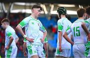 4 February 2025; Naoise Hillery Nolan of Gonzaga College reacts after conceding their side's second try during the Bank of Ireland Leinster Rugby Boys Schools Junior Cup First Round match between Wesley College and Gonzaga College at Energia Park in Dublin. Photo by Shauna Clinton/Sportsfile