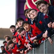 4 February 2025; Wesley College supporters react in the final moments of the Bank of Ireland Leinster Rugby Boys Schools Junior Cup First Round match between Wesley College and Gonzaga College at Energia Park in Dublin. Photo by Shauna Clinton/Sportsfile