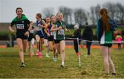 8 March 2025; Aoife Murphy of Loreto Foxrock competes in the Junior Girls 2,500m during the 123.ie All Ireland Schools Cross Country Championships at Galway Racecourse in Ballybrit, Galway. Photo by Tom Beary/Sportsfile