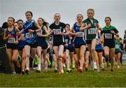 8 March 2025; Aoife Murphy, 325, of Loreto Foxrock Templeogue of Our Ladys School Templeogue competes in the Junior Girls 2,500m  during the 123.ie All Ireland Schools Cross Country Championships at Galway Racecourse in Ballybrit, Galway. Photo by Tom Beary/Sportsfile