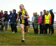 8 March 2025; Freya Renton of SHS Westport competes in the Intermediate Girls 3,500m during the 123.ie All Ireland Schools Cross Country Championships at Galway Racecourse in Ballybrit, Galway. Photo by Tom Beary/Sportsfile