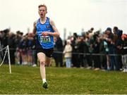 8 March 2025; Darragh Whelan of Castletroy College on his way to winning the Junior Boys 3,500m during the 123.ie All Ireland Schools Cross Country Championships at Galway Racecourse in Ballybrit, Galway.  Photo by Tom Beary/Sportsfile