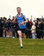 8 March 2025; Darragh Whelan of Castletroy College on his way to winning the Junior Boys 3,500m during the 123.ie All Ireland Schools Cross Country Championships at Galway Racecourse in Ballybrit, Galway.  Photo by Tom Beary/Sportsfile